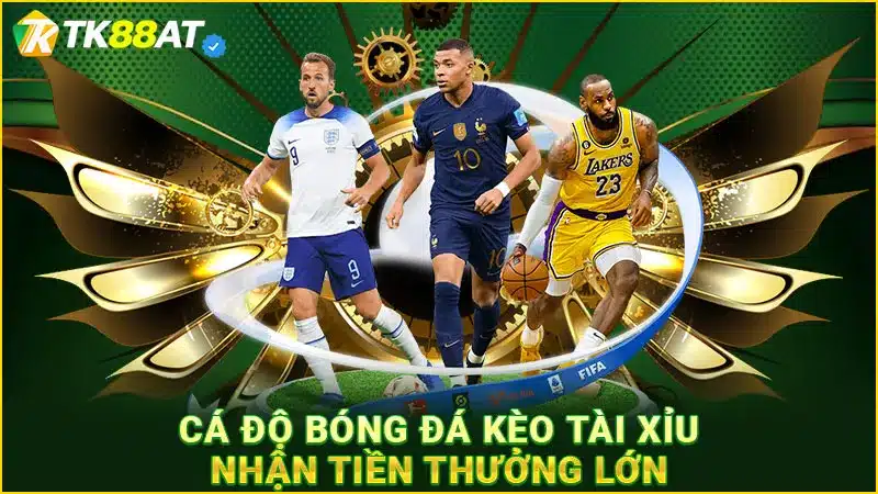 Cá độ bóng đá kèo tài xỉu nhận tiền thưởng lớn